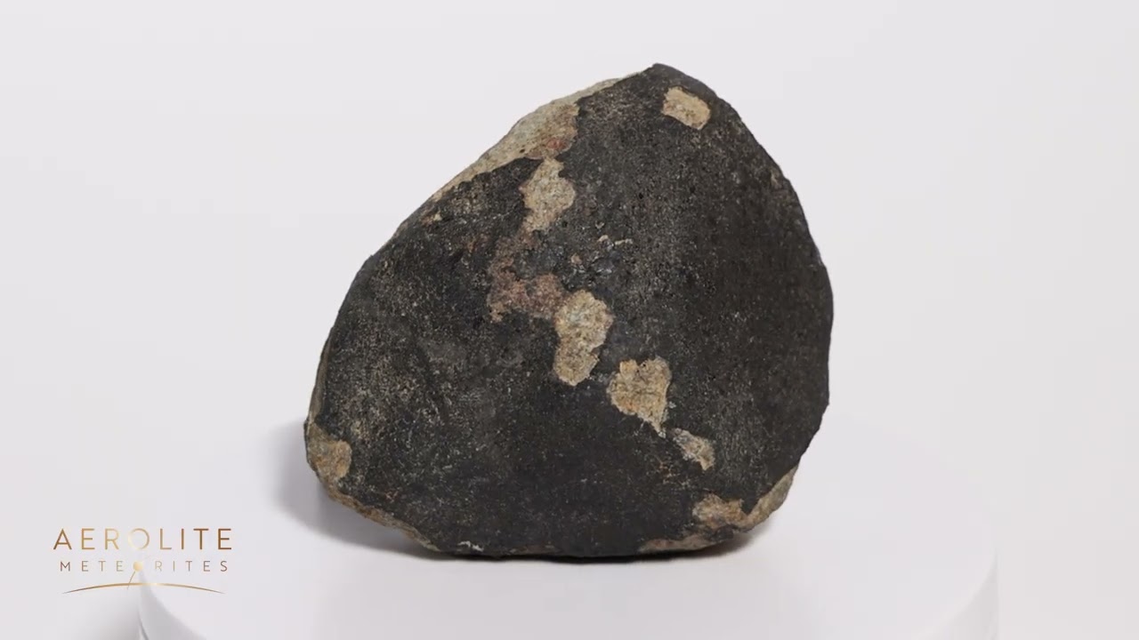 Amo 390.7g Witnessed Fall Stone Meteorite