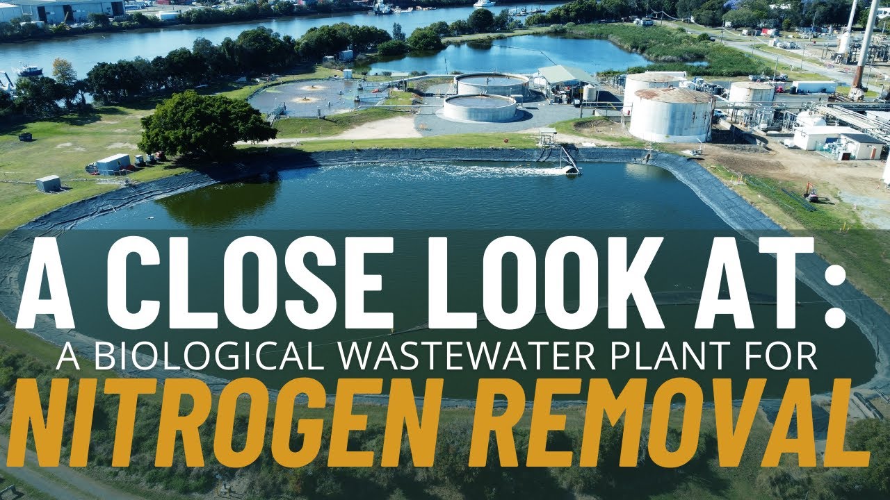 Close Look: Biological Wastewater Plant for Nitrogen Removal