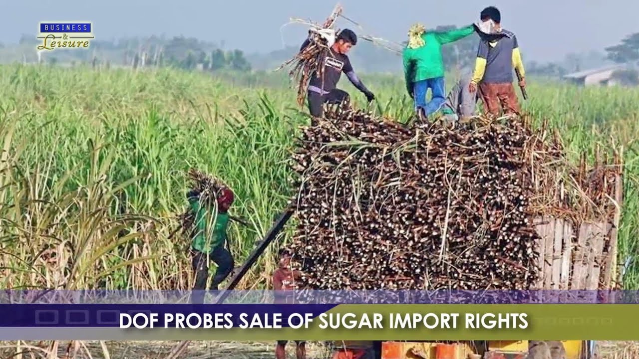 Business and Leisure | BIZWATCH:  DOF Probes Sale Of Sugar Import Rights
