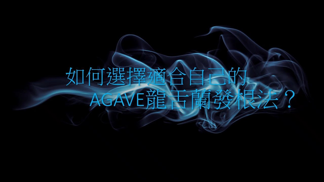如何選擇適合自己的AGAVE龍舌蘭發根法？