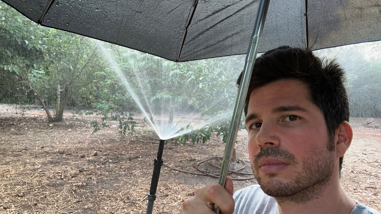 איך להשקות נכון בחום הזה ? - חום יולי אוגוסט