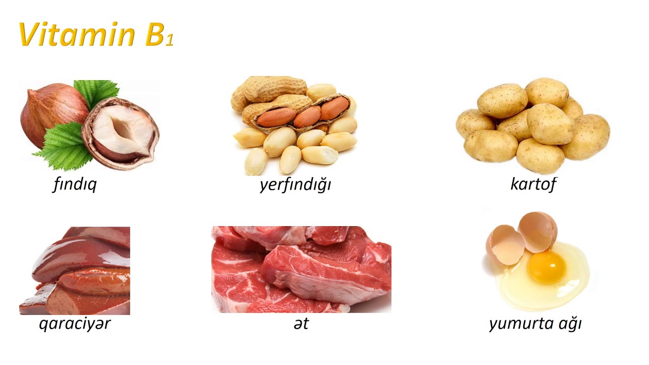 Biologiya 6-cı sinif 54. Düzgün qidalanma