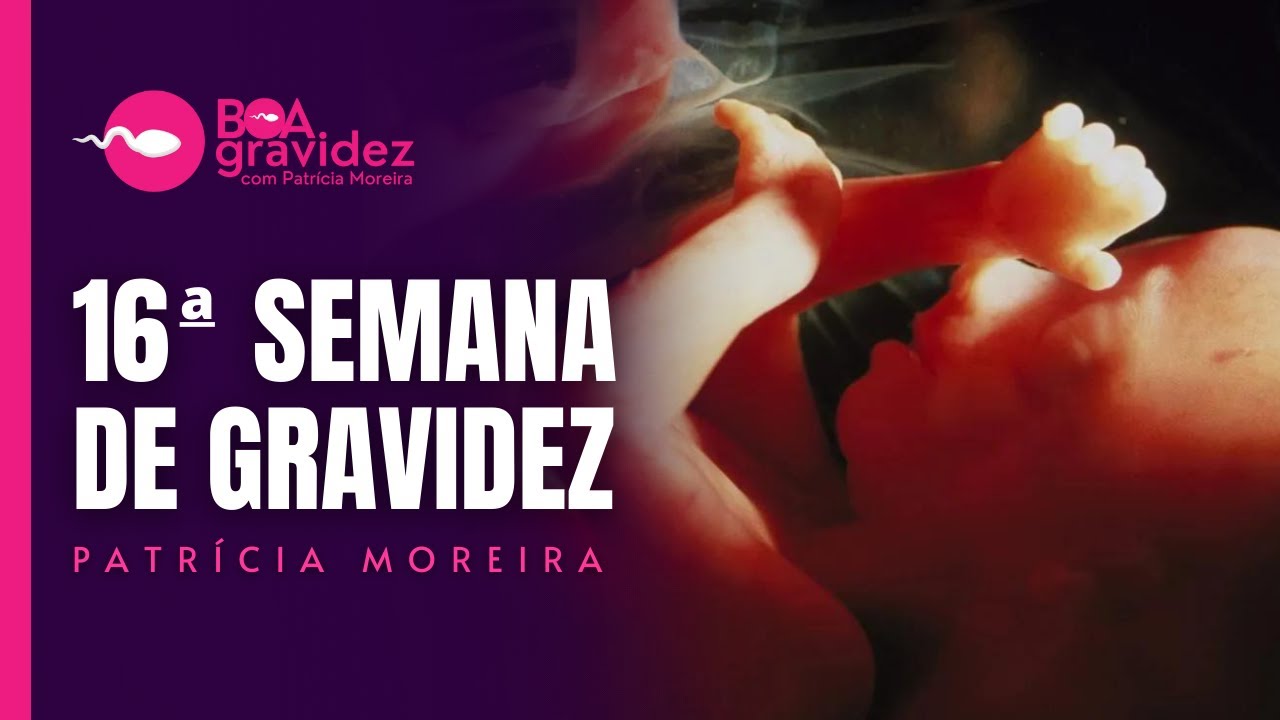 16 SEMANAS DE GRAVIDEZ - Gravidez Semana a Semana 16 weeks pregnant - Pregnancy week by week