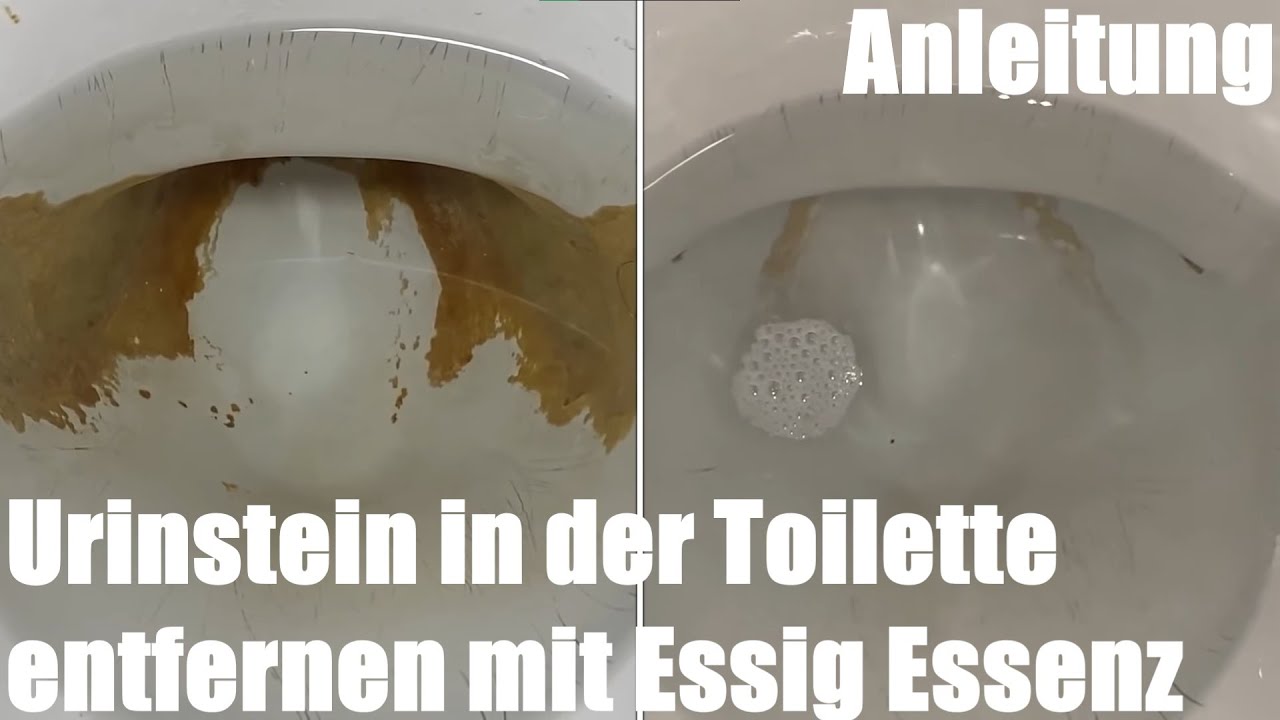 Urinstein in der Toilette entfernen mit Essig Essenz Anleitung