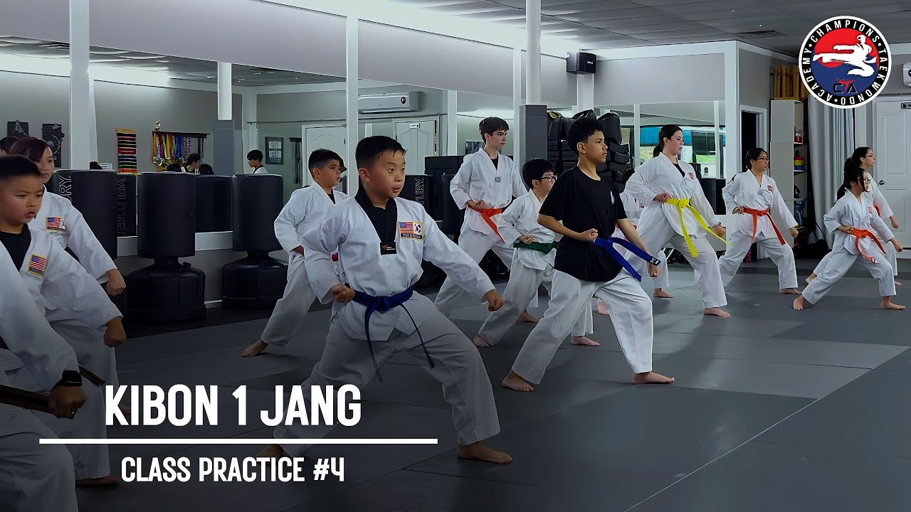 Taekwondo Poomsae | Kibon Il Jang - Class Practice #4