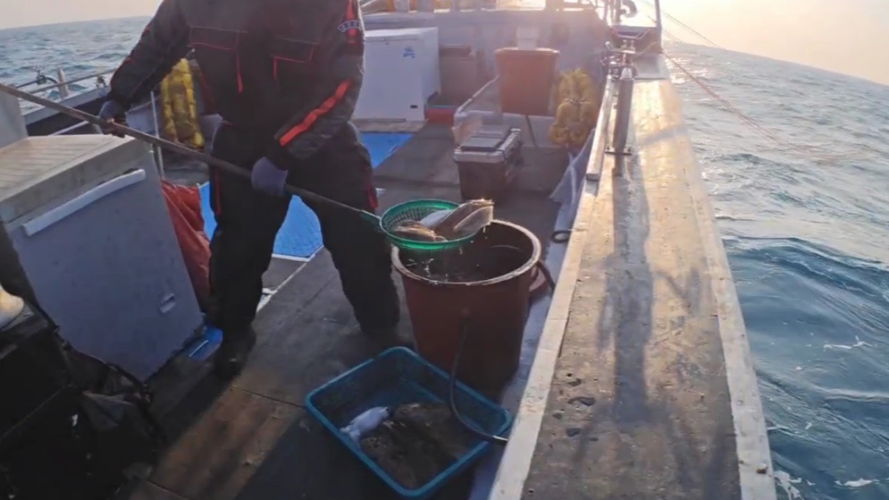 오전에는 여기가 제주도가 맞나 싶을 정도로 투덜투덜 가렸습니다. 