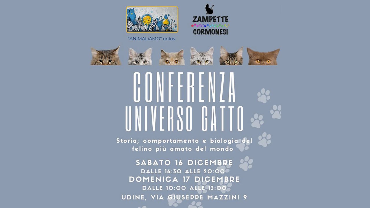 CONFERENZA UNIVERSO GATTO - PARTE I - LISA SIGNORILE Ph.D.