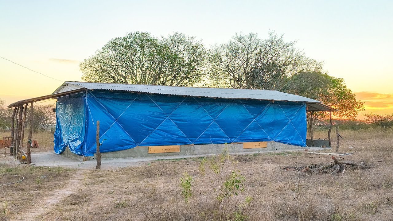 NOVO PROJETO (CONSTRUÇÃO DO NOVO AVIÁRIO)