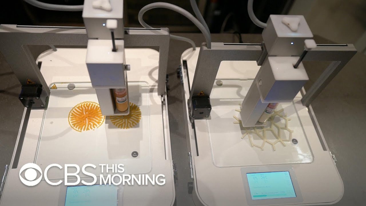Dutch chef uses 3D printers to create tasty works of art