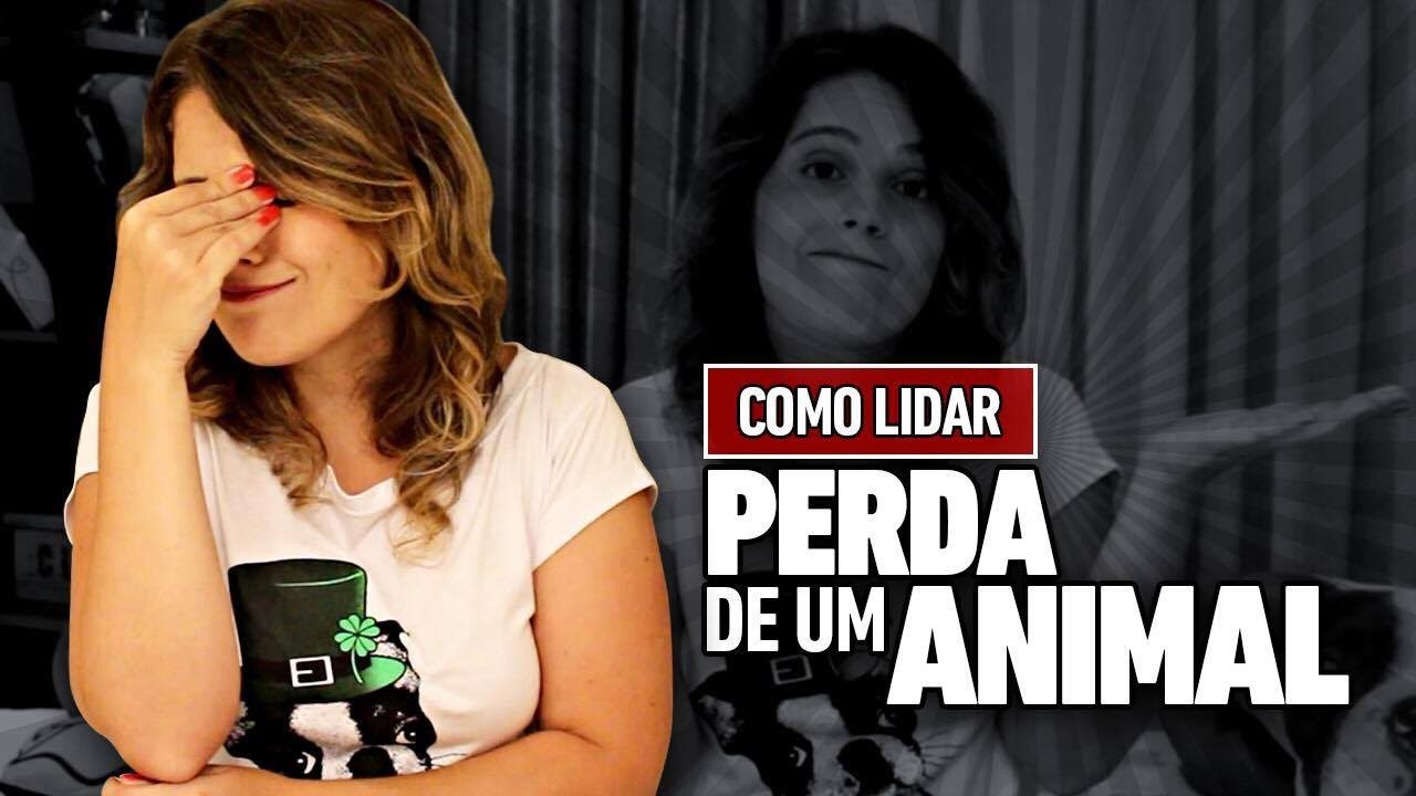 MEU CACHORRO MORREU | COMO SUPERAR A PERDA DE UM ANIMAL?