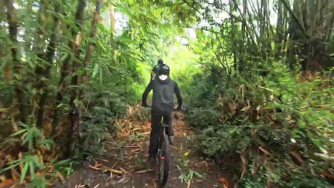 SAPUANGIN YOGJA