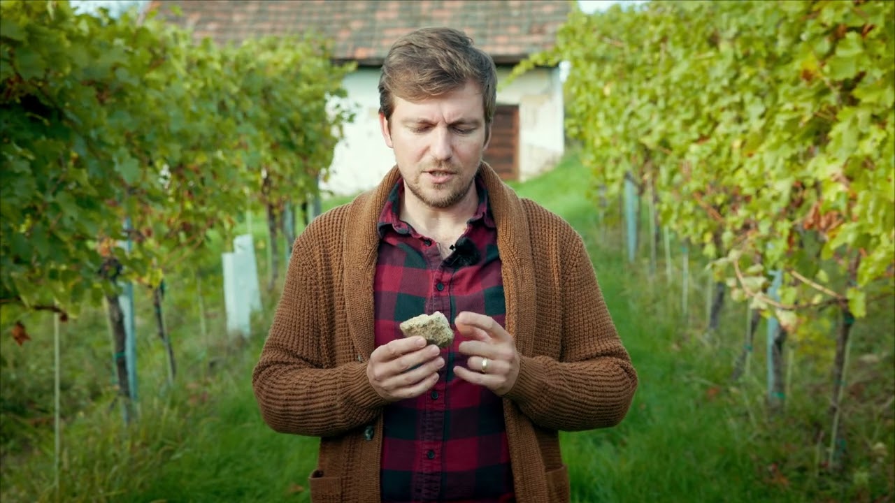 Výroba videa pre podporu vinárstva v regióne, cestovný ruch