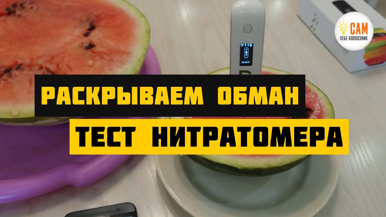 Нитратомеры врут?! Честный тест на арбузах - Greentest ECO