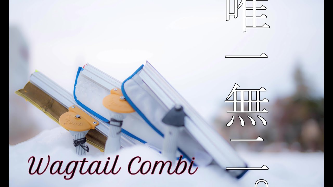 window cleaning // wagtail combi - one & only