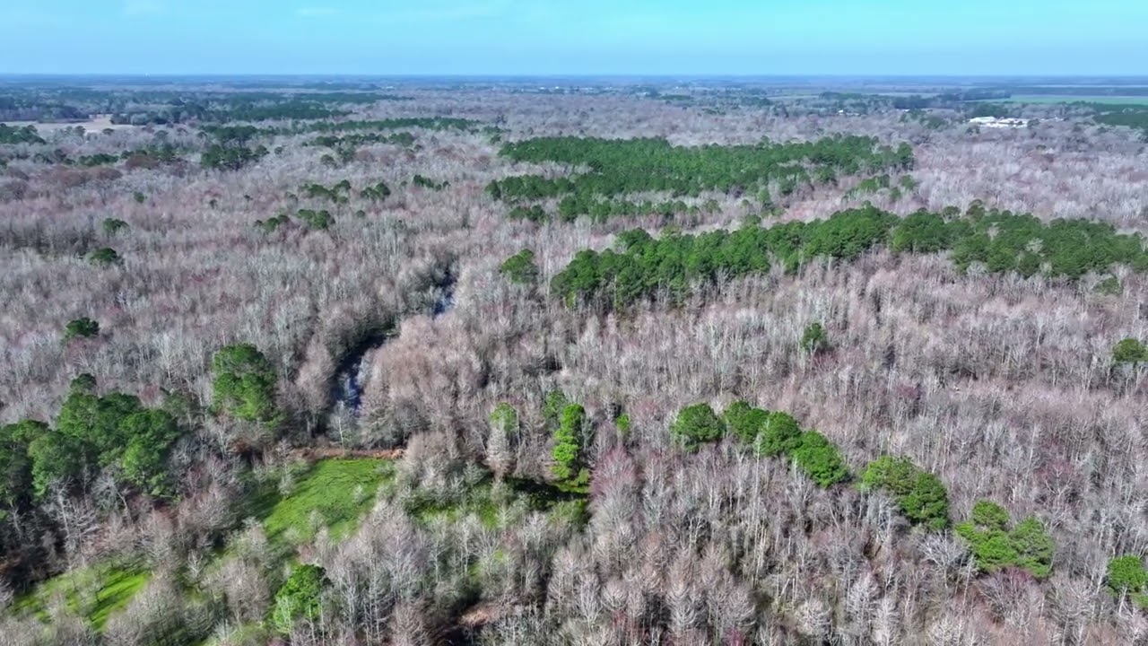 Stokestown Road Hunting Land