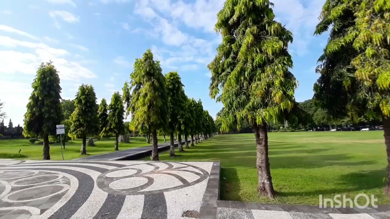 ASMR lapangan renon Denpasar BALI #bali #lapanganrenon #renon #denpasar