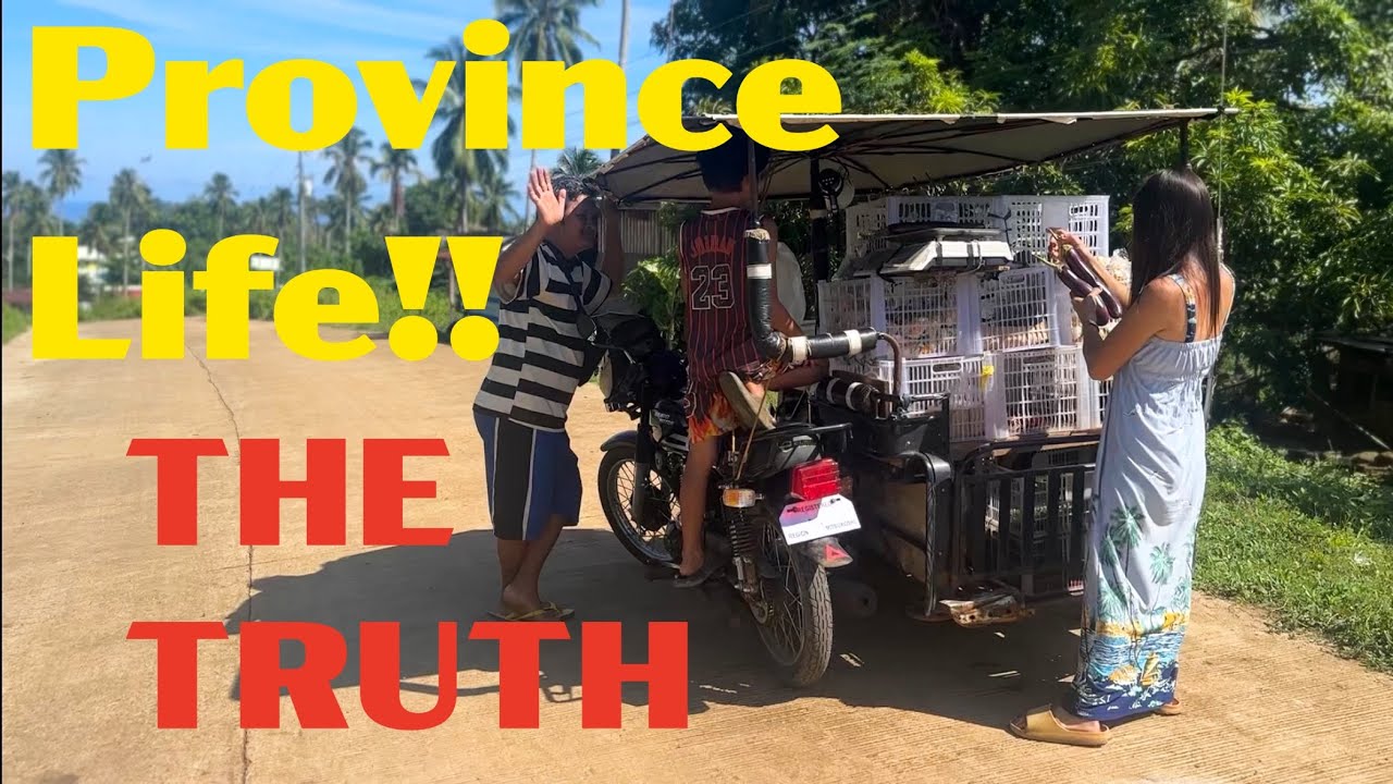 I Move To The Province!