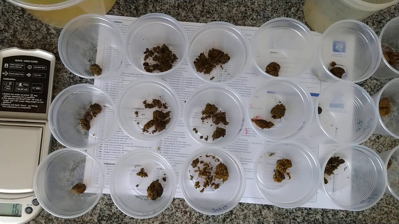 Patologia Veterinária  - Técnica de OPG - Animallab