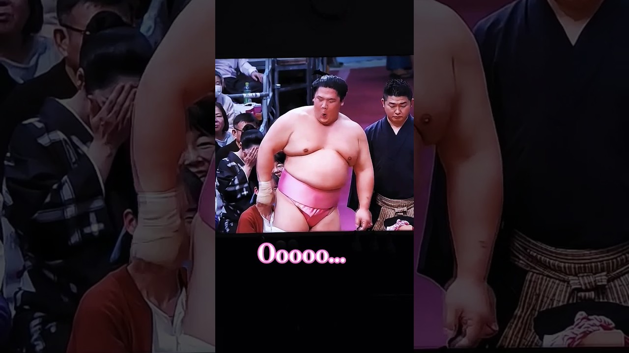 #URA AND #HIRADOUMI  day 11 and hard work on #Dohyo , 3 bouts  .buy one get 2 on sale 🤣🤣🤣