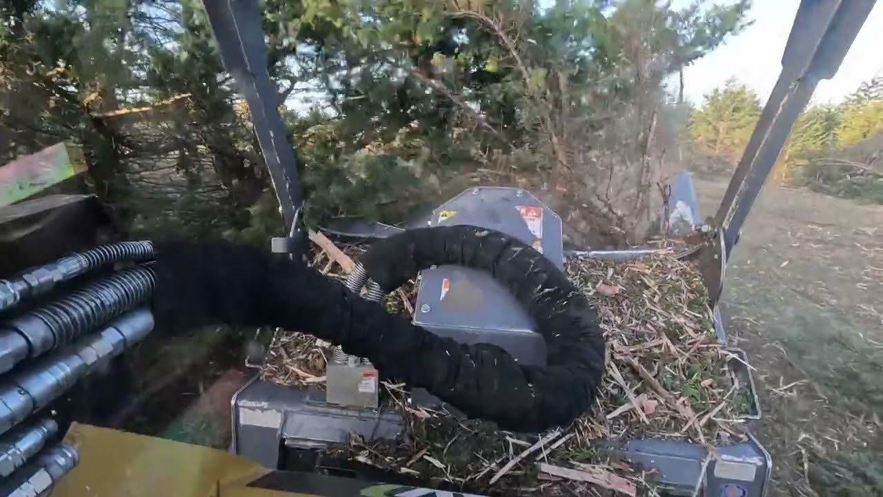 Pasture Cedar Clearing: Chapter 1, Part 1 of 4