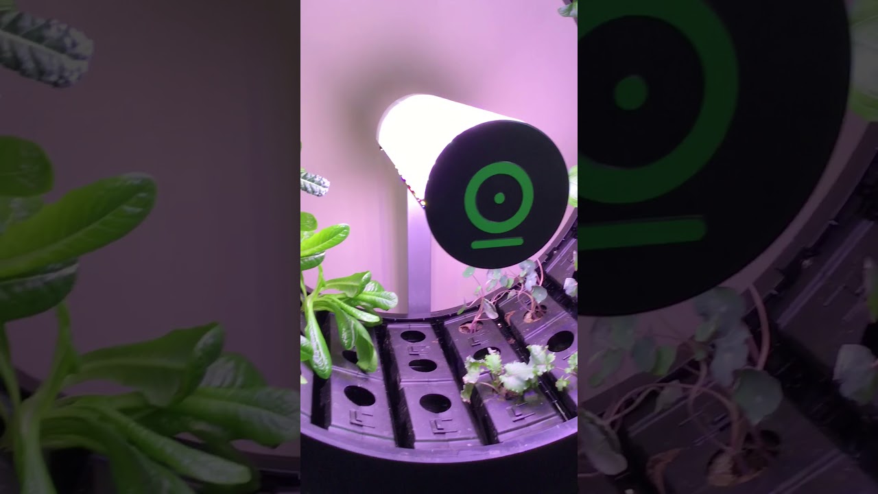Ogarden Smart Indoor System.