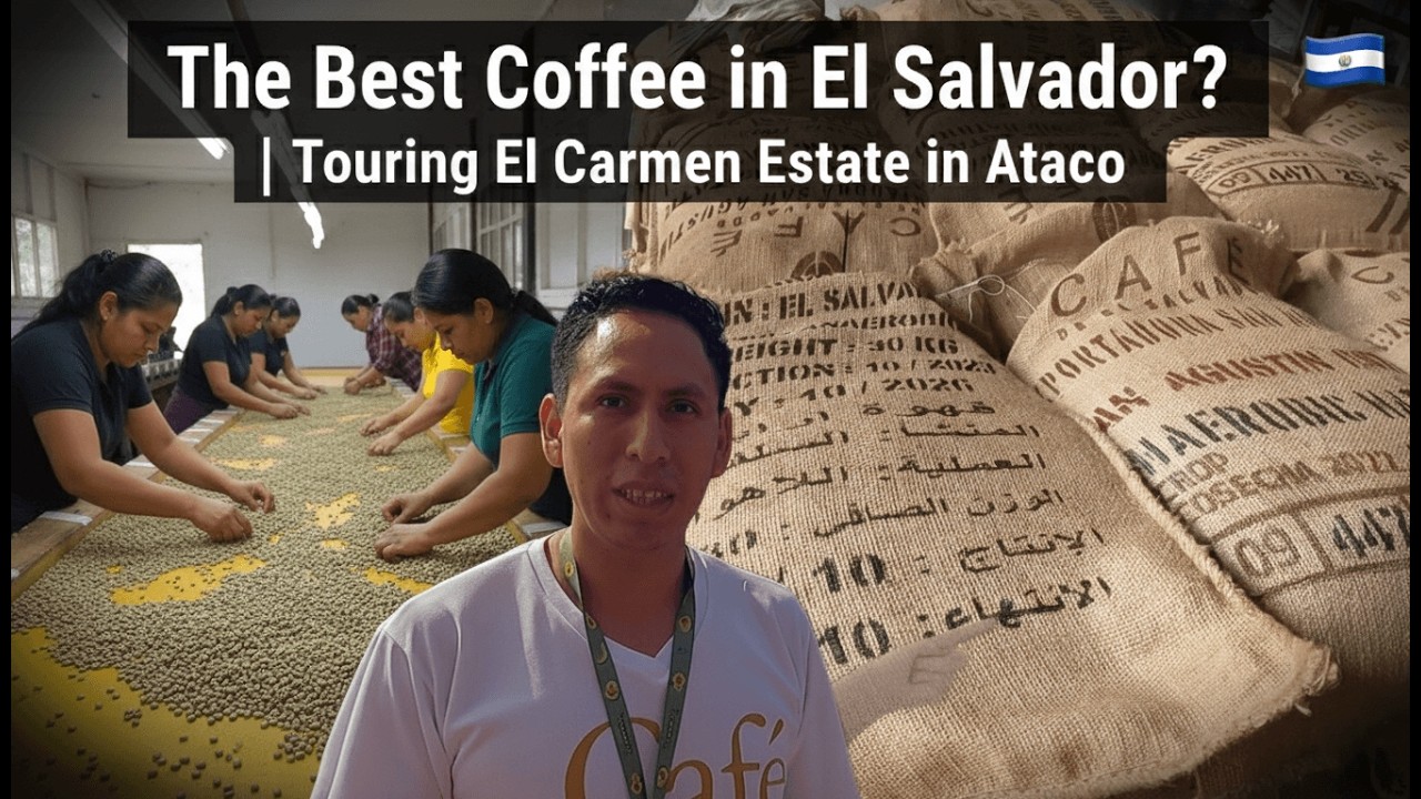 Inside the Mill: How El Salvador Produces World-Class Coffee