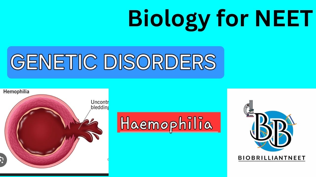 Heamophilia Explained: Genetics, Pedigree, and Punnett Squares