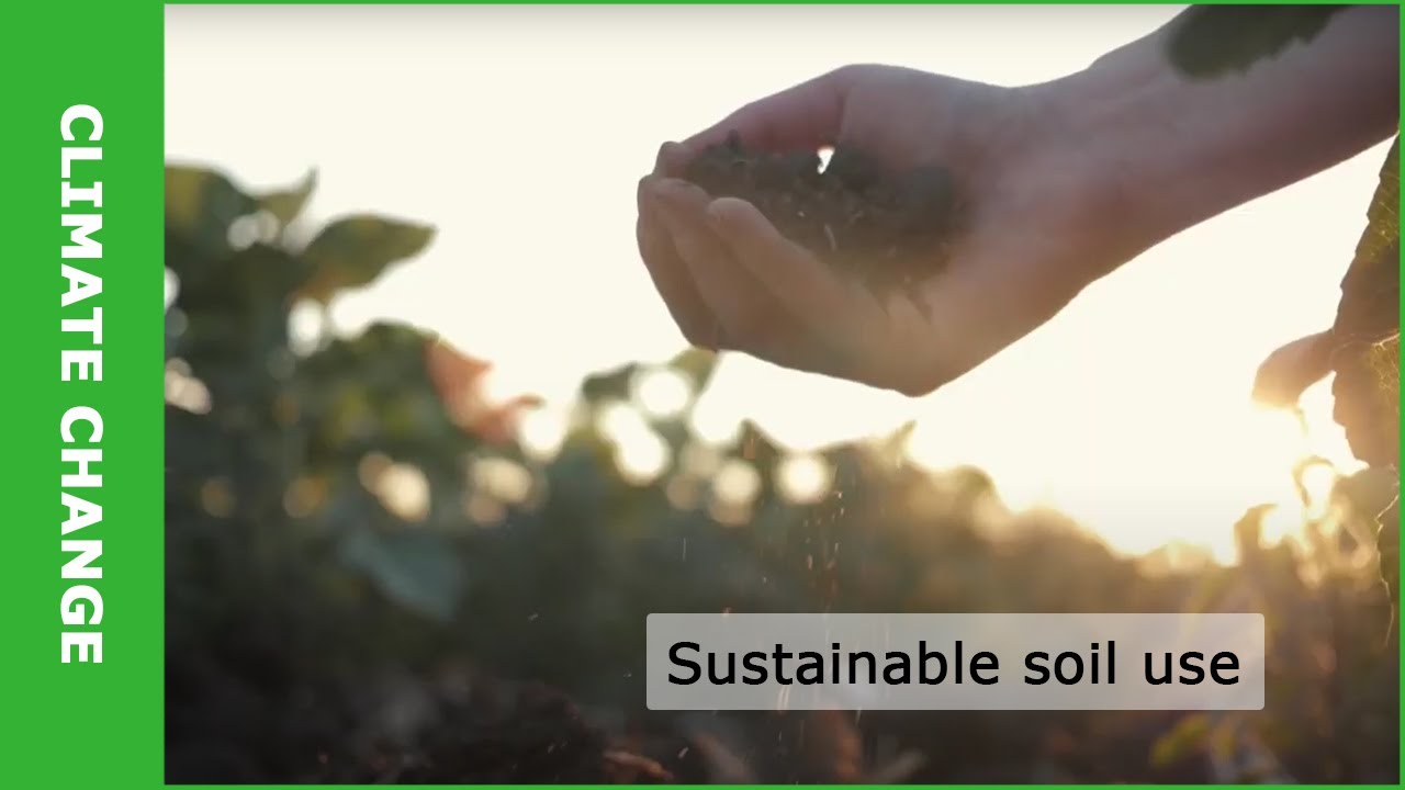 The importance of sustainable soil use