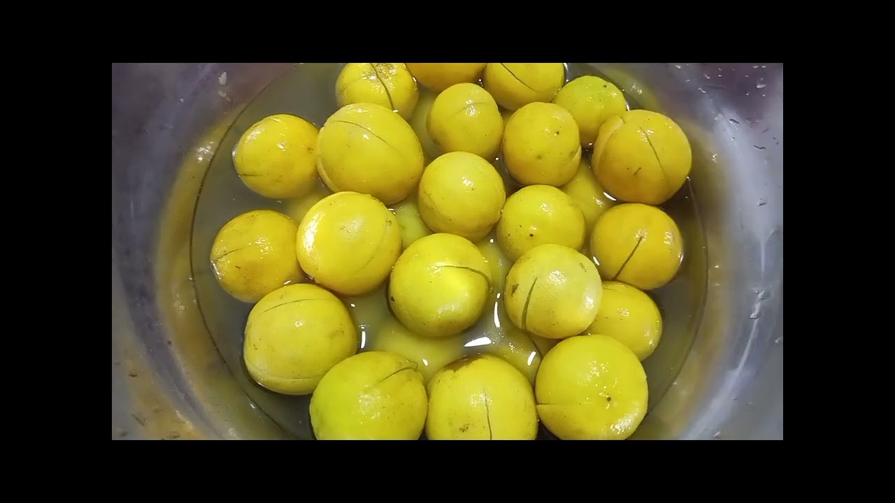 مخلل الليمون العصفور🍋