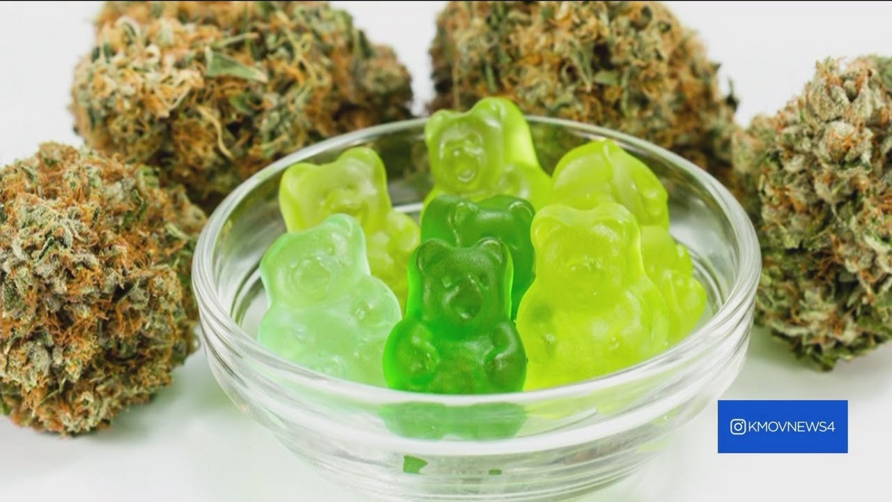 Francis Howell Central students caught taking THC gummies at school