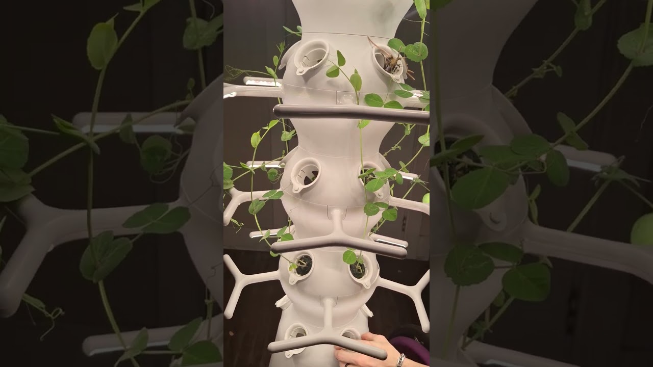 LettuceGrow Tower Update 3.8.26