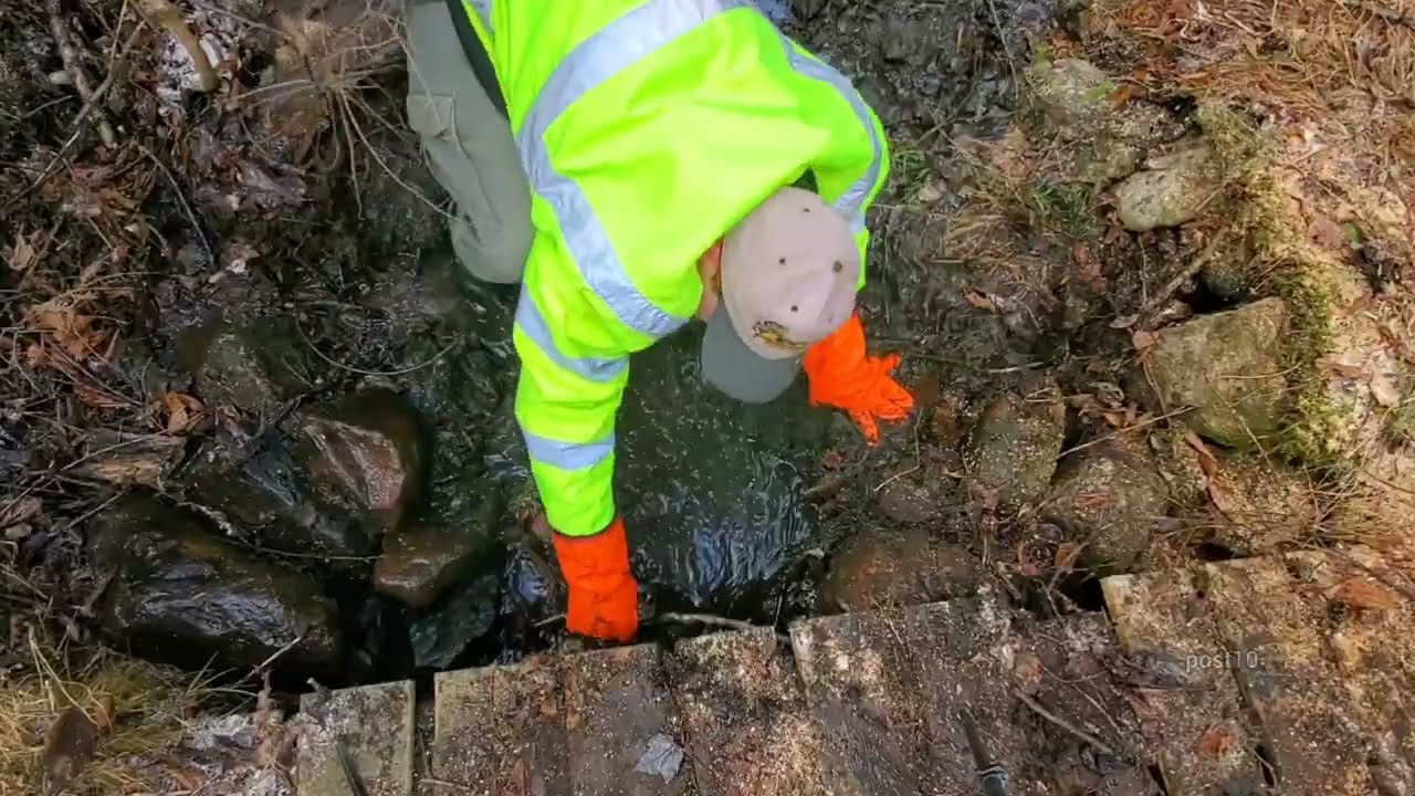 Wiederherstellung und Wiederaufbau eines verlassenen Wegenetzes durch den Wald, 6 Jahre sp&auml;ter