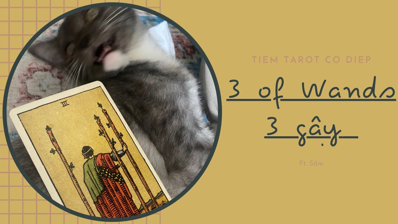 Tự học Tarot | Ý nghĩa lá 3 of Wands - 3 gậy.
