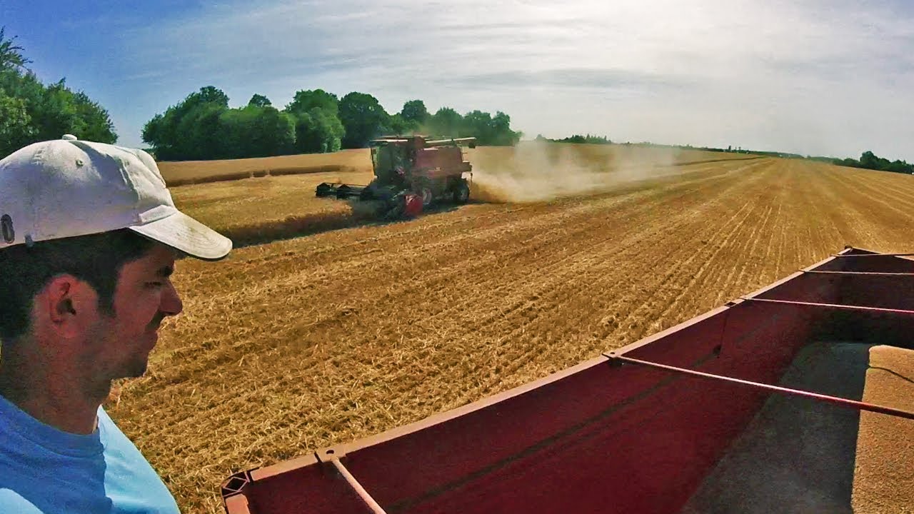 La moisson du bl&eacute; sur plusieurs jours - 2019