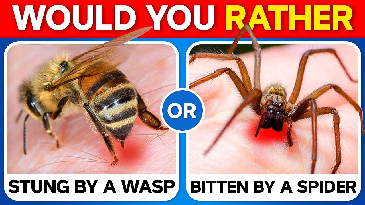 Would You Rather - HARDEST Choices Ever! 😱⚠️ MyQuizC