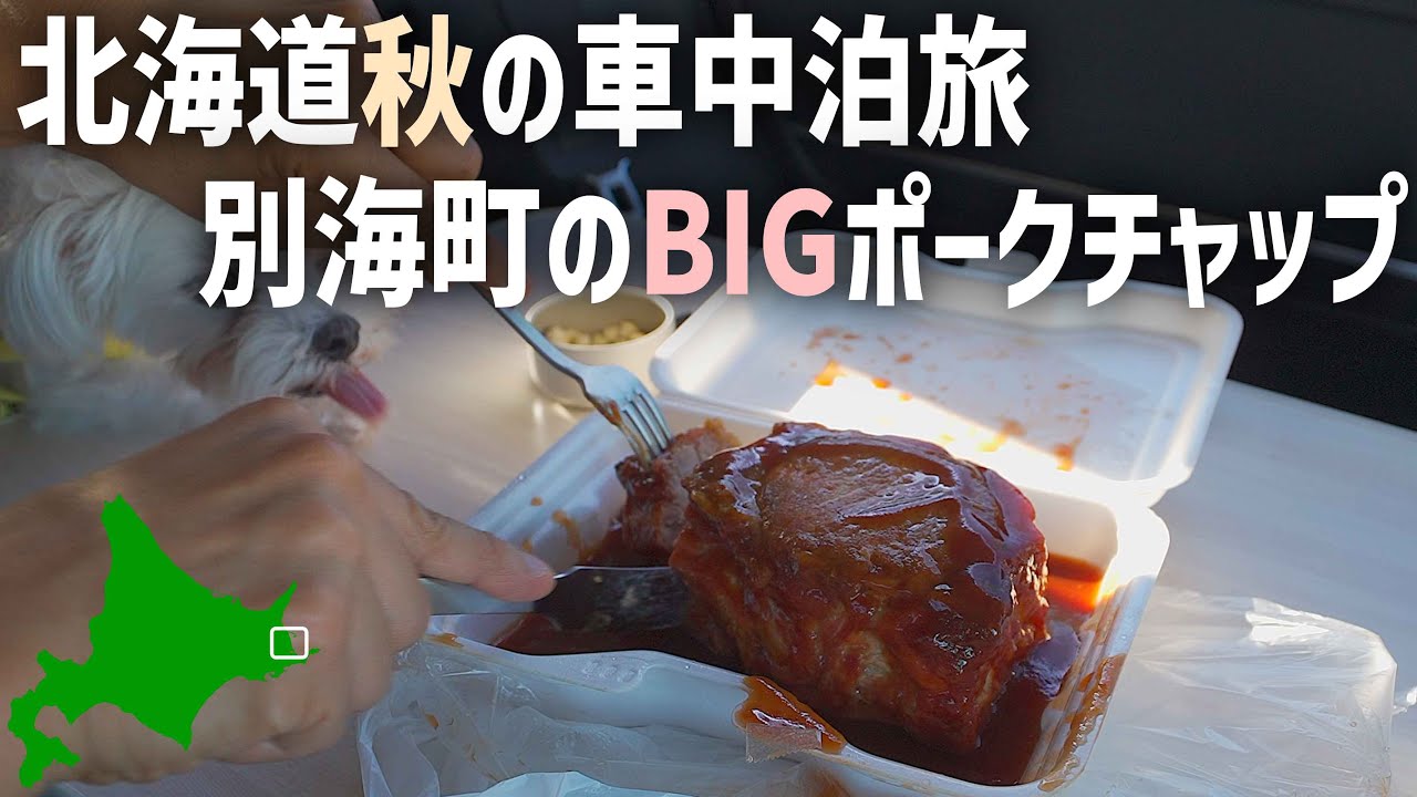 北海道車中泊旅【別海町のドデカポークチャップ】何もない先端へドライブJoyzis BR1000のテストも兼ねて