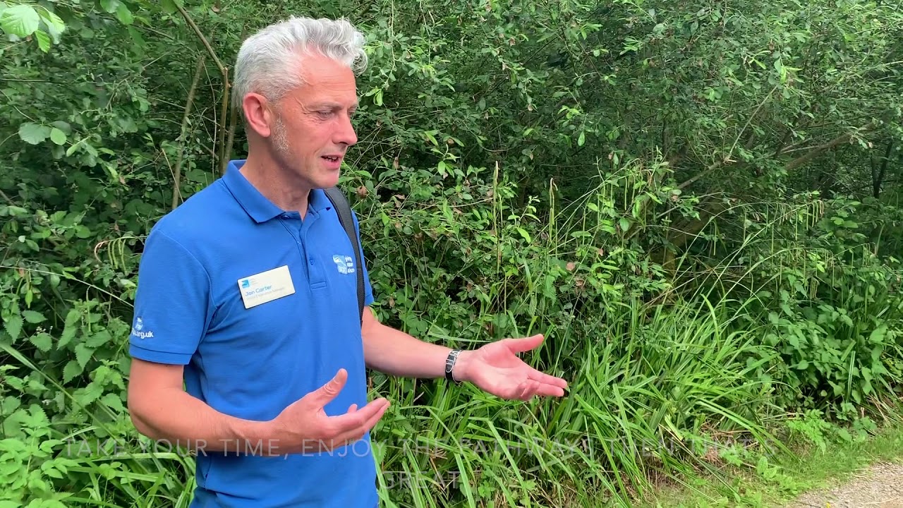 Welcome to RSPB Leighton Moss