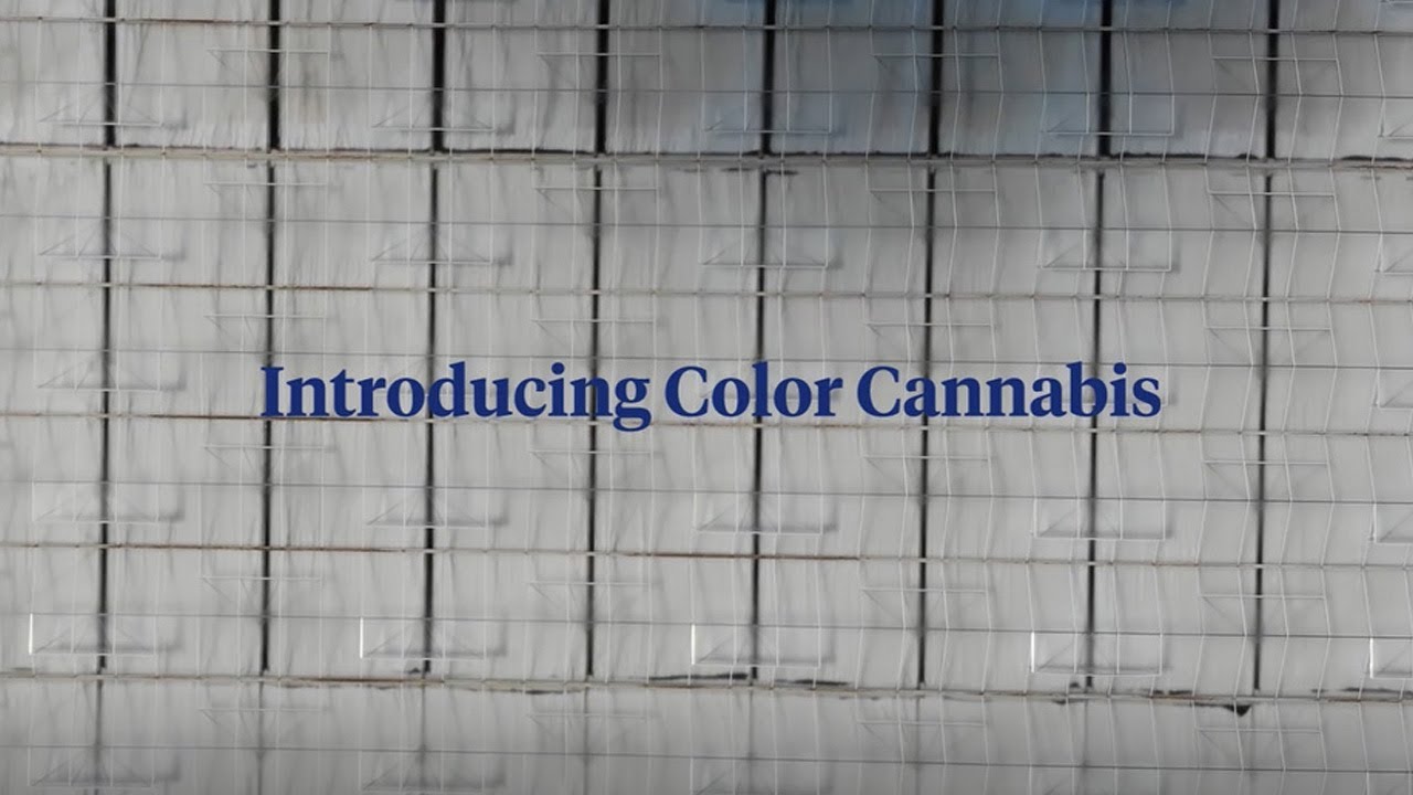 Introducing Color Cannabis