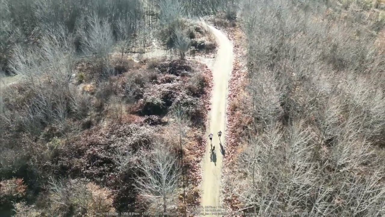 Copa España Mushing Hostalric 02/2024 canicross bikejoring dogscooter dogrig ds1 ds2 dr4 dr6