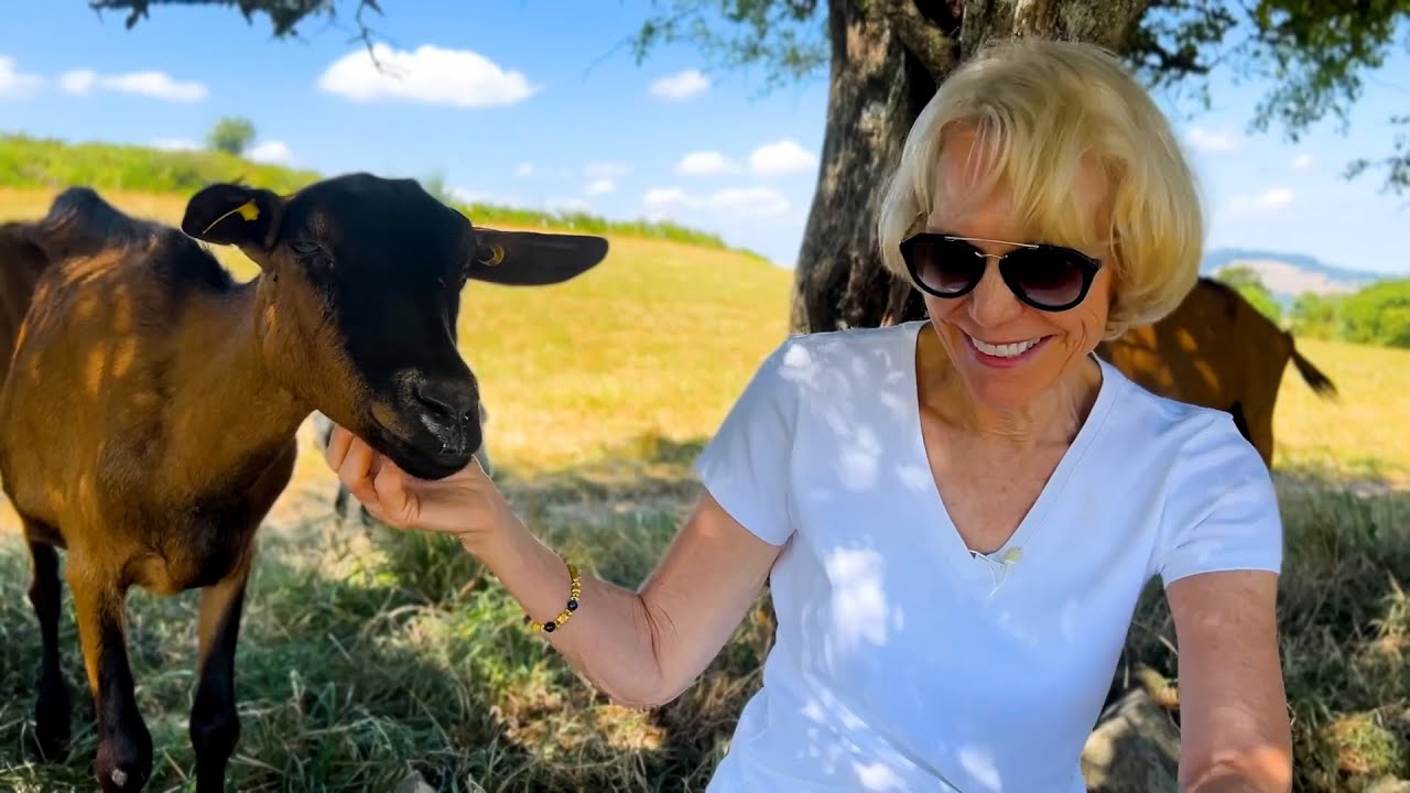 Discover French culinary treasures with Jean Newman Glock