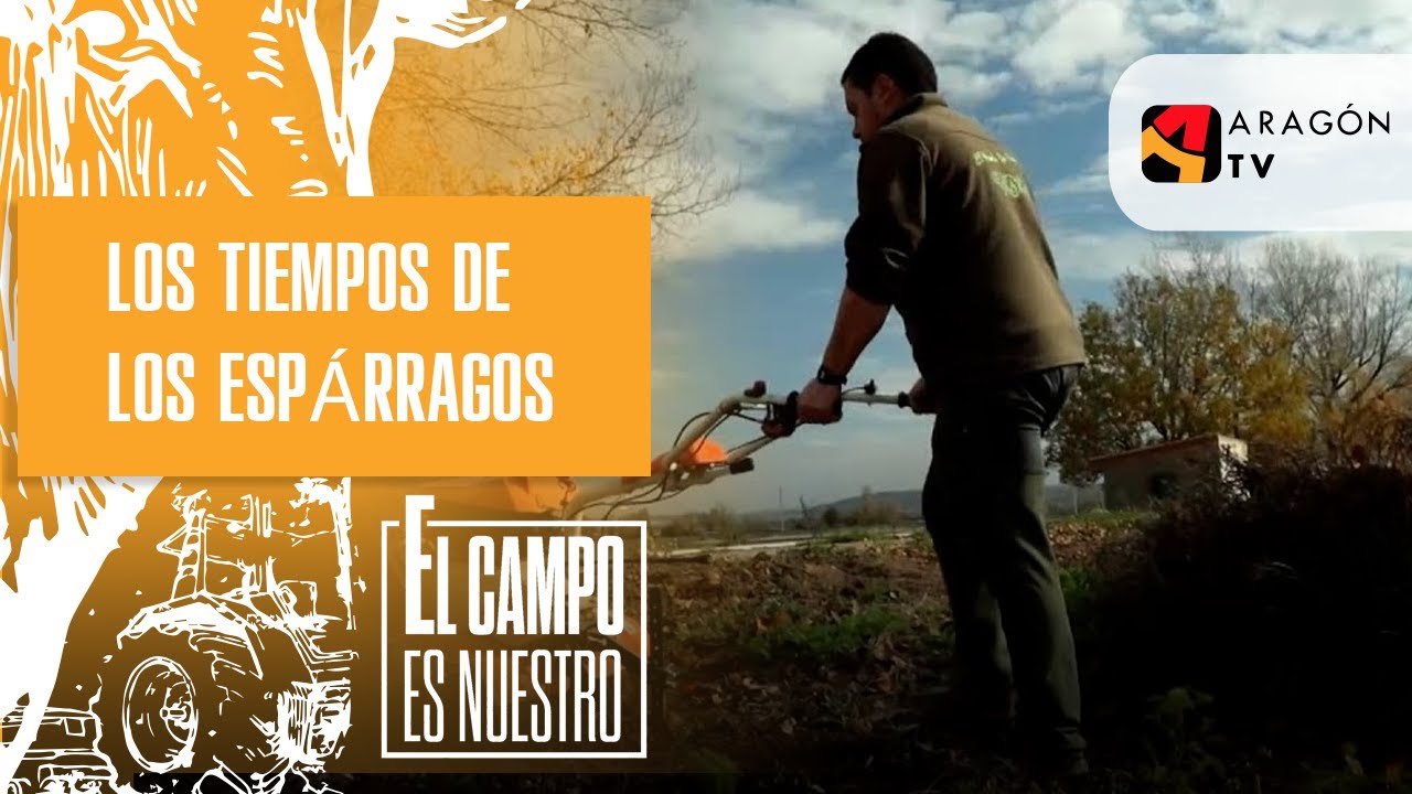Los tiempos de los espárragos