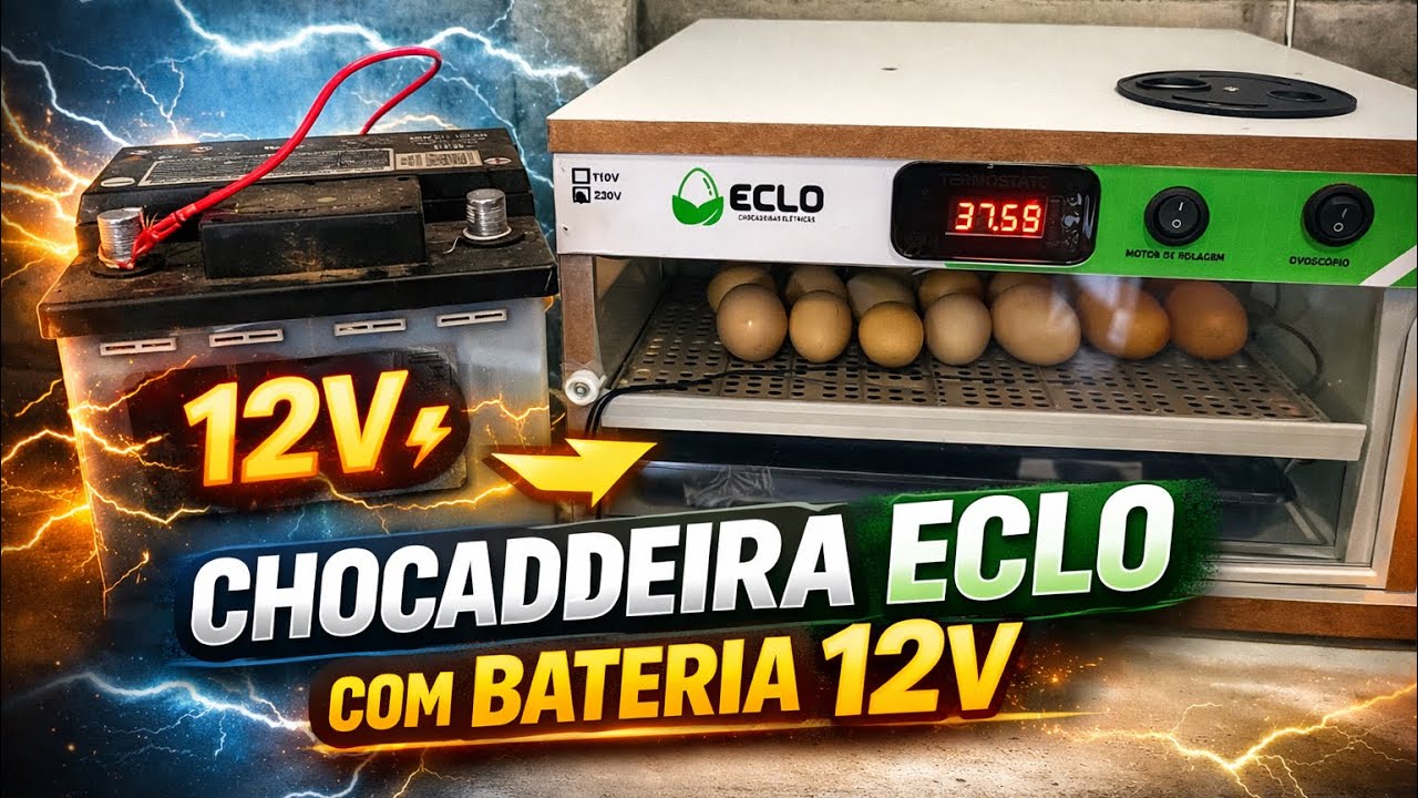 CHOCADEIRA ECLO 