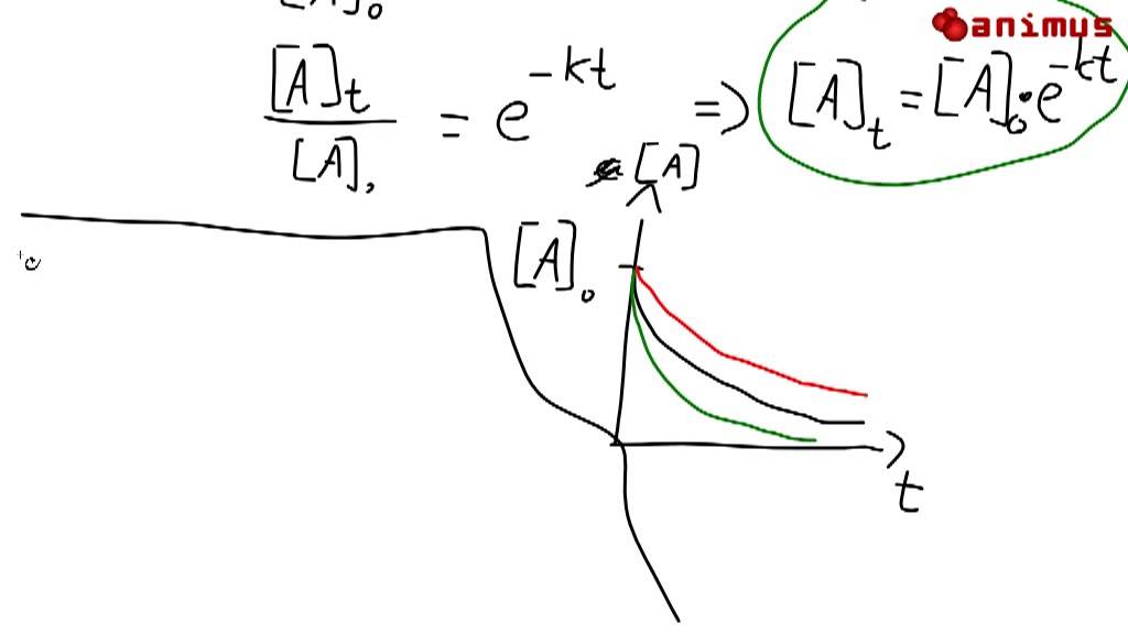 animus Tutorials: Reaktion 1. Ordnung