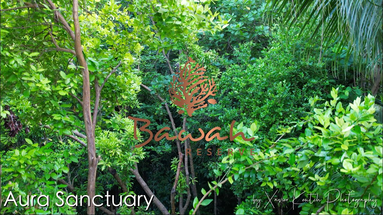Bawah Reserve, Adaman - Indonesia - Spa Intro