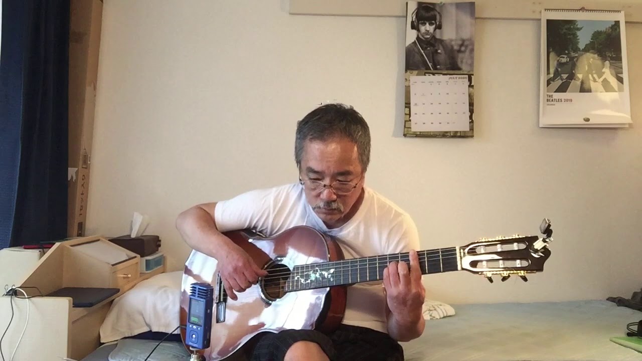 We've Only Just Begun (Fingerstyle guitar)