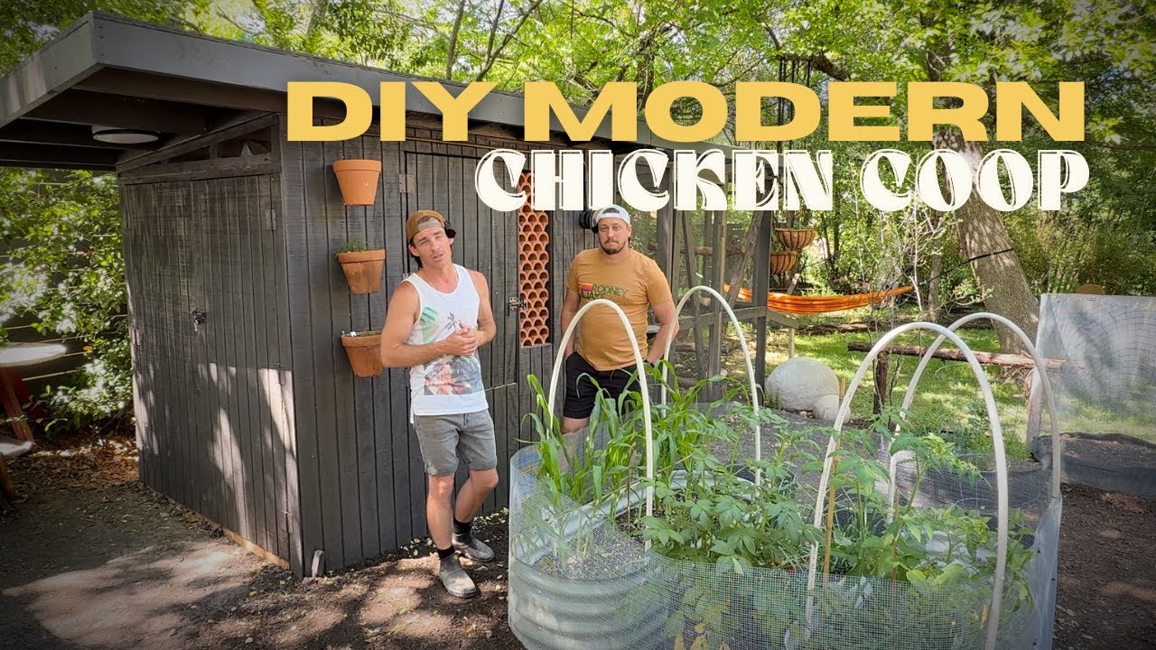DIY Moden Chicken Coop 🐣🐓
