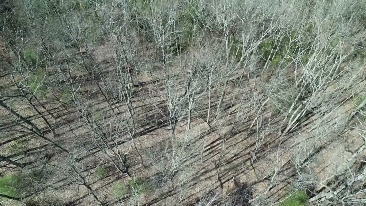 Indian creek development rd lot #5 frenchburg KY 40322