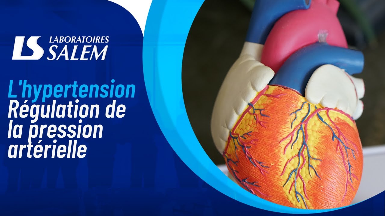 L'#hypertension : Régulation de la pression artérielle