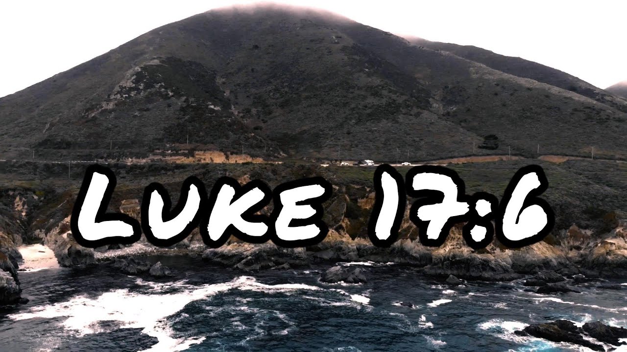 START WITH JESUS | Luke 17:6 | Inspiration and Truth to Start Your Day