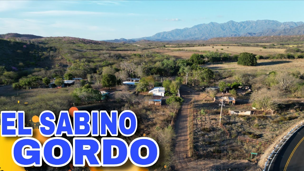 El Sabino Gordo, Mocorito.🏞🍃🤠